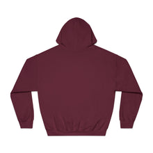 Load image into Gallery viewer, Jet Fighter hoodie large logo on front
