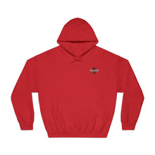 Load image into Gallery viewer, Jet Fighter hoodie large logo on back
