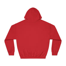 Load image into Gallery viewer, Jet Fighter hoodie large logo on front
